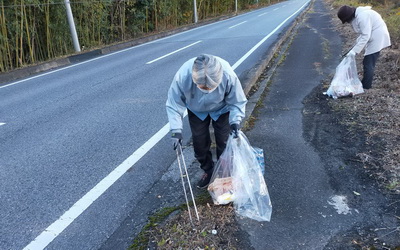 サランくすの木写真1