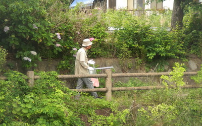写真1