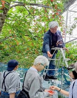 写真2
