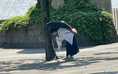 写真2