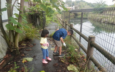 写真1